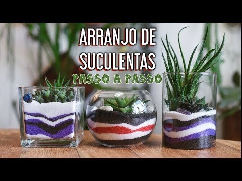 ARRANJO de SUCULENTAS com AREIA em CAMADAS