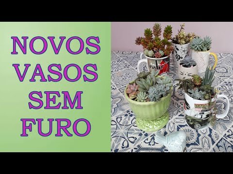 COMO PLANTAR EM VASOS SEM FUROS + PRESENTINHOS