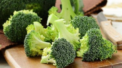 Os 10 Benefícios do Brócolis Para a Saúde