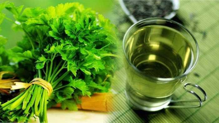 Receita caseira para infecção urinária