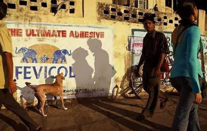 25 Fotos incríveis tiradas no melhor momento
