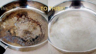Como remover alimentos de fundo da panela com bicarbonato