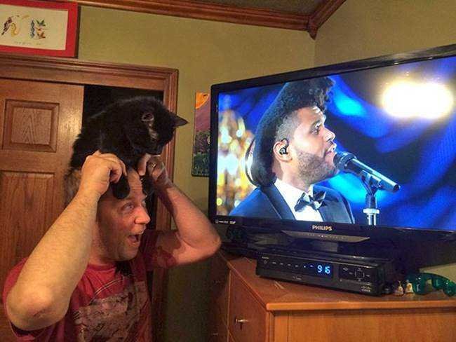 17 imagens para te fazer morrer de rir 11