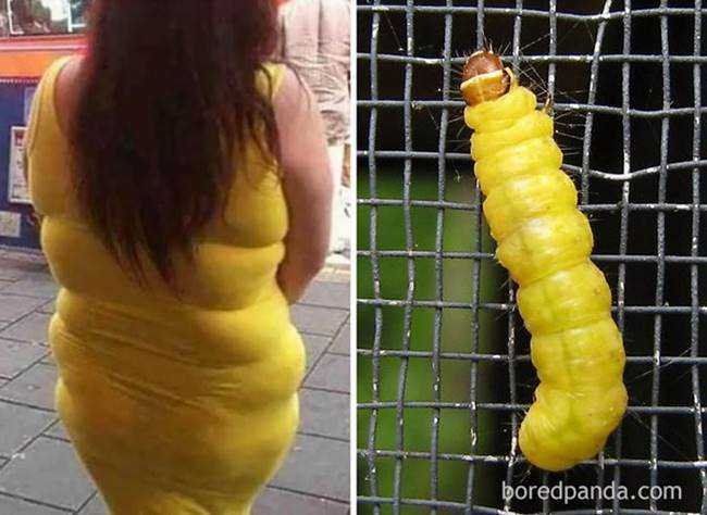 17 imagens para te fazer morrer de rir 7