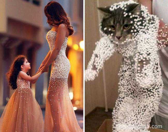 17 imagens para te fazer morrer de rir 9