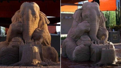 Não vai acreditar com o que essa escultura é feita