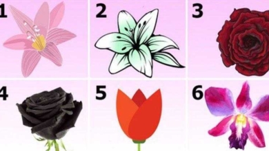 Escolha a flor mais bonita e descubra um segredo surpreendente sobre sua personalidade!