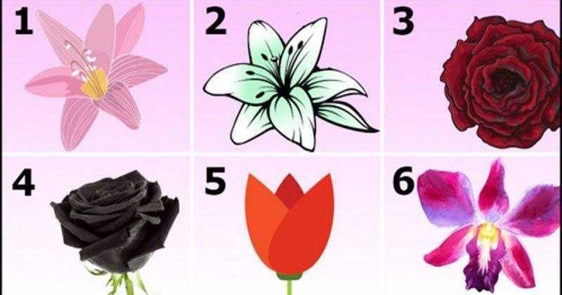 Escolha a flor mais bonita e descubra um segredo surpreendente sobre sua personalidade!