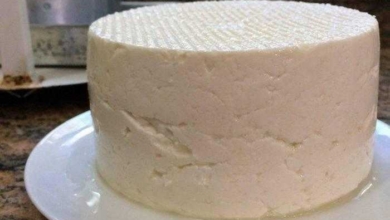 Aprenda a preparar o melhor queijo caseiro