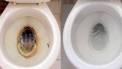 Como limpar o vaso sanitário d