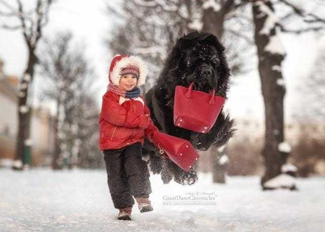 20 imagens incríveis de crianças e seus cães de estimação 1a 7