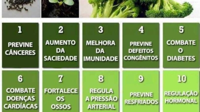 9 Coisas que vão acontecer se você incluir o brócolis na sua alimentação d