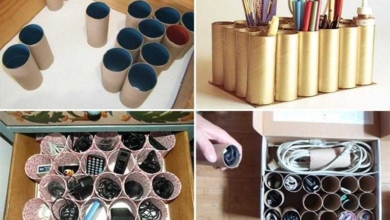 Como reciclar rolos de papel higiênico