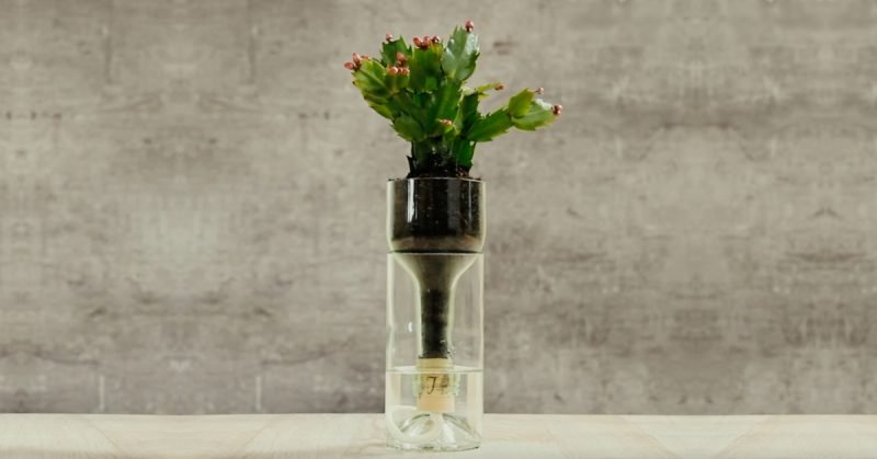 1537583404 645 Ideias de decoração com vasos de flores