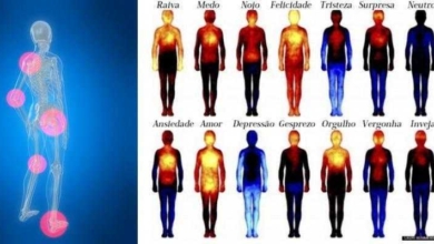 19 Dores no corpo que podem estar ligadas às emoções
