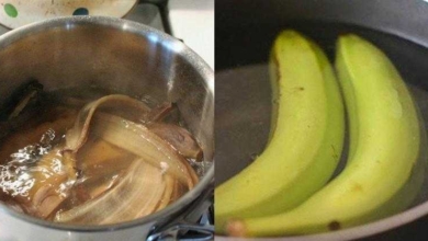 Banana fervida: uma grande aliada contra a insônia, gordura abdominal e mais, contribui na drenagem do liquido retido.