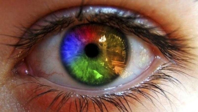 As 5 cores de olhos mais raras do mundo