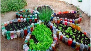 Como fazer horta em forma de flor usando garrafas pet