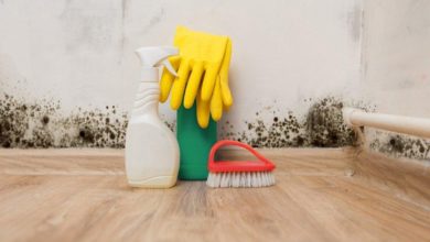 Maneiras fáceis de prevenir e remover mofo de dentro de casa