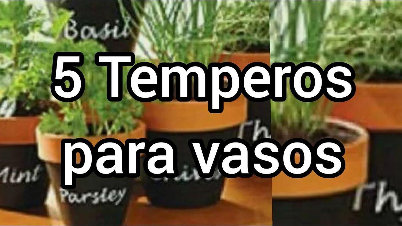 5 Temperos para Cultivar em Vasos