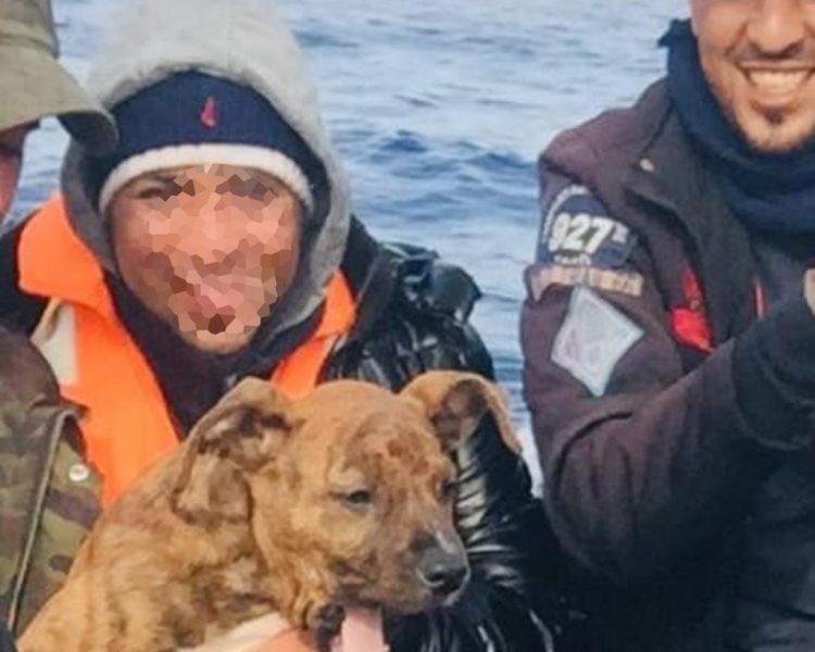 1636093778 992 Policial adota cachorrinho que chegou de barco com dono imigrante