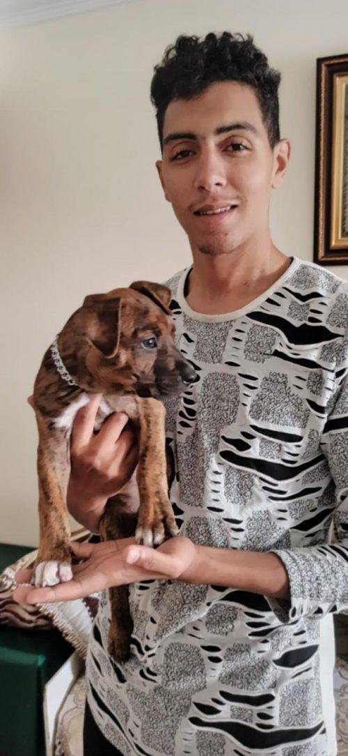 1636093783 56 Policial adota cachorrinho que chegou de barco com dono imigrante