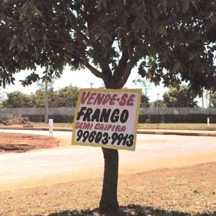 1638816467 114 27 placas engracadas que causam uma grande confusao em que