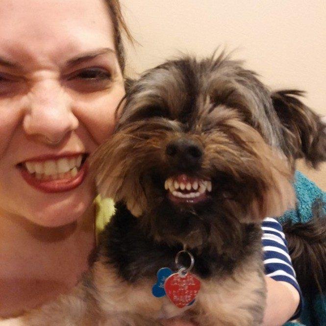 23 animais que tentaram dar um sorriso na hora da foto 23