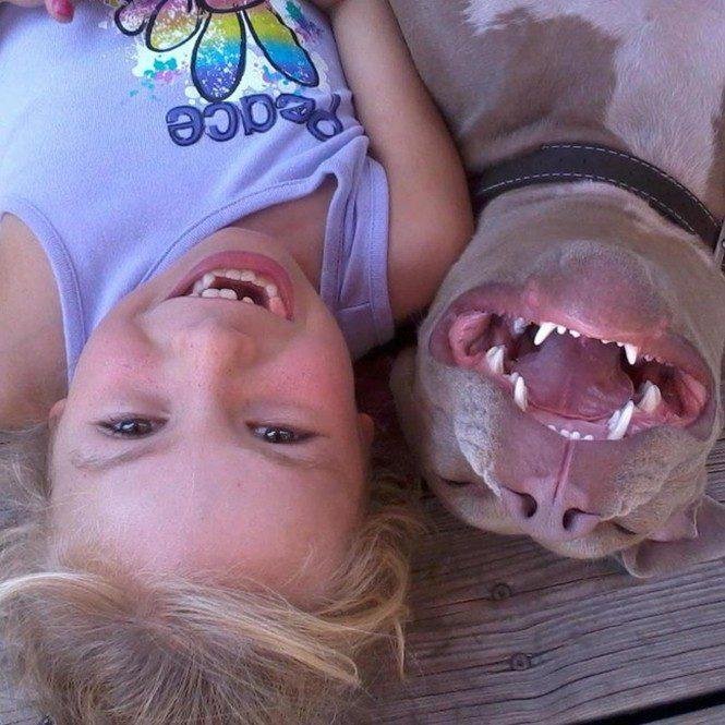 23 animais que tentaram dar um sorriso na hora da foto 5