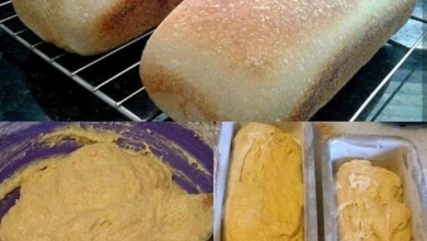 pão de forma de liquidificador da