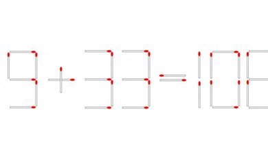 Resolva esta equação 19 + 33 = 106 movendo uma única partida em menos de 30 segundos!