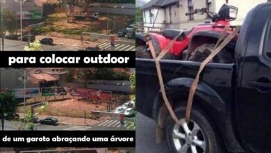 1627931876 162 25 momentos em que pessoas e animais falharam de forma