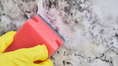 housekeeper's,hand,with,glove,cleaning,mold,from,wall,with,sponge