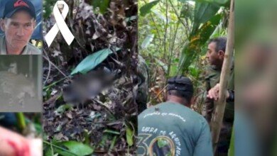 Onça que matou caseiro no Pantanal avançou sobre equipe que encontrou o corpo da vítima