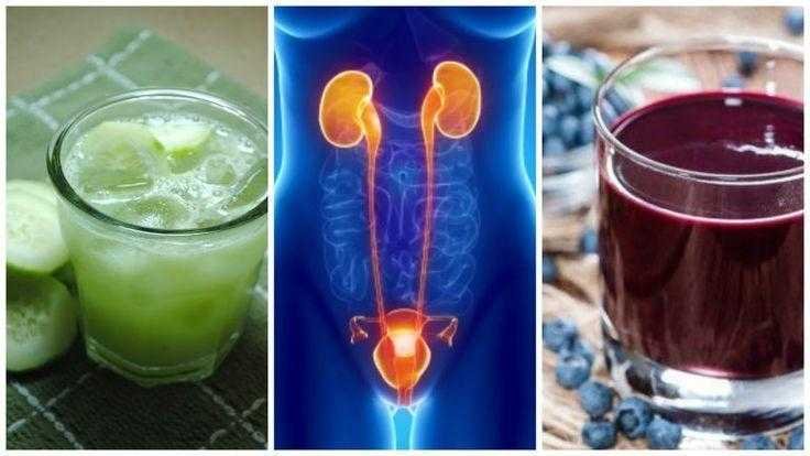10 bebidas naturais para tratar as infeccoes urinarias 10 bebidas naturais para tratar as infecções urinárias 1q