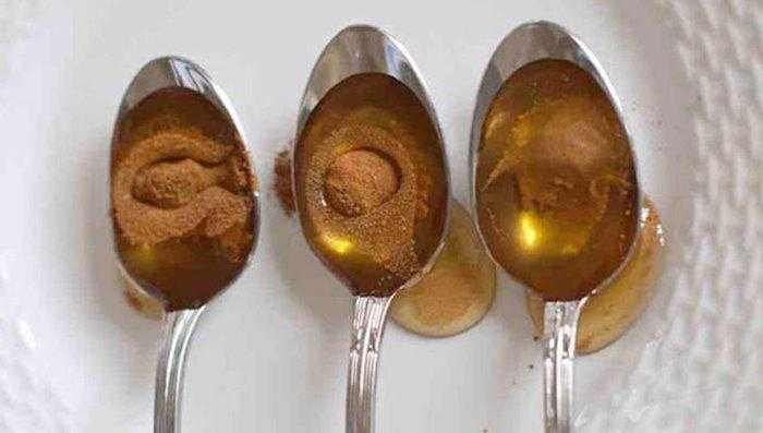 10 doencas que podem ser evitadas com canela e mel 10 doenças que podem ser evitadas com canela e mel s