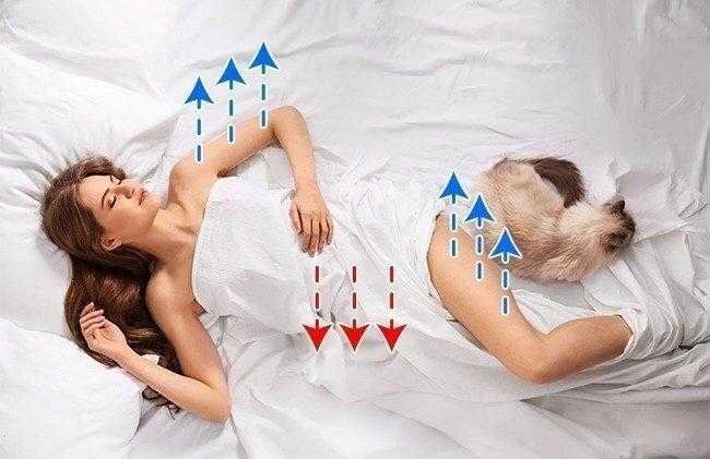 10 motivos para dormir sem roupa impressionantes 10 Motivos para dormir sem roupa impressionantes