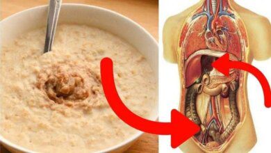 10 ótimos motivos para consumir mais aveia