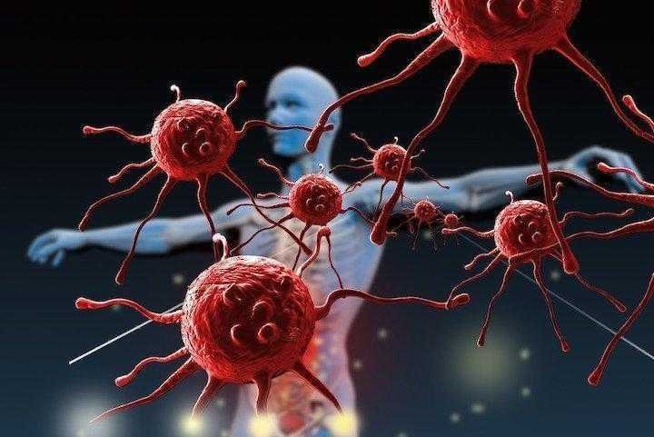 11 Coisas que destroem o nosso sistema imunologico 11 Coisas que destroem o nosso sistema imunológico