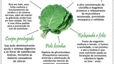 11 Motivos que vao te convencer a consumir couve todos 11 Motivos que vão te convencer a consumir couve todos os dias