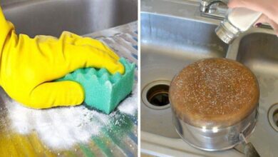 11 Dicas de limpeza com sal