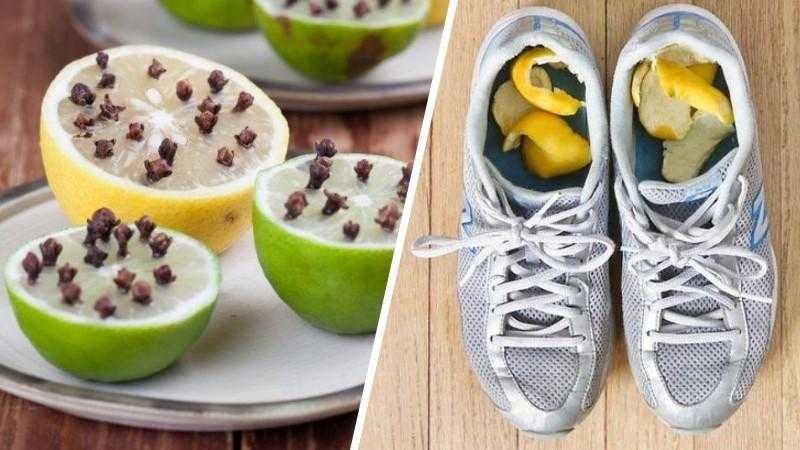12 Razoes pelas quais o limao e uma das frutas 12 Razões pelas quais o limão é uma das frutas mais úteis do mundo hs