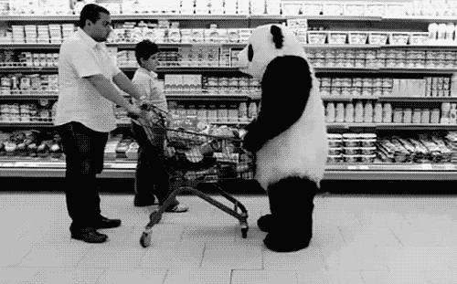 5. Mesmo pandas na segunda-feira agressiva dia, o fracasso, a compilação