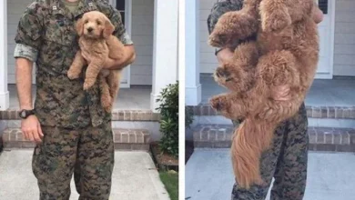 14 Imagens mostrando que o tempo não poupa a nada nem a ninguém