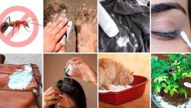 14 Usos incríveis que o talco pode ter