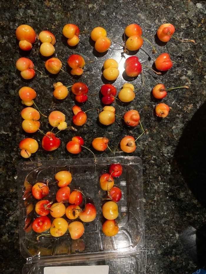 15 imagens que mostram que a natureza nao brinca em