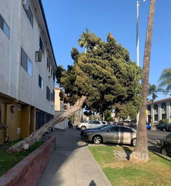 15 imagens que mostram que a natureza nao brinca em