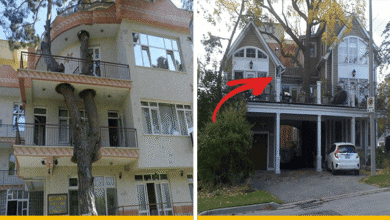 16 fotos incriveis que mostram o respeito das pessoas pela 16 fotos incríveis que mostram o respeito das pessoas pela natureza