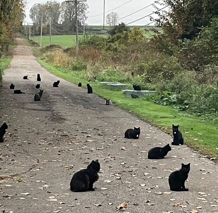 16 fotos que fazem duvidar do que os olhos estao