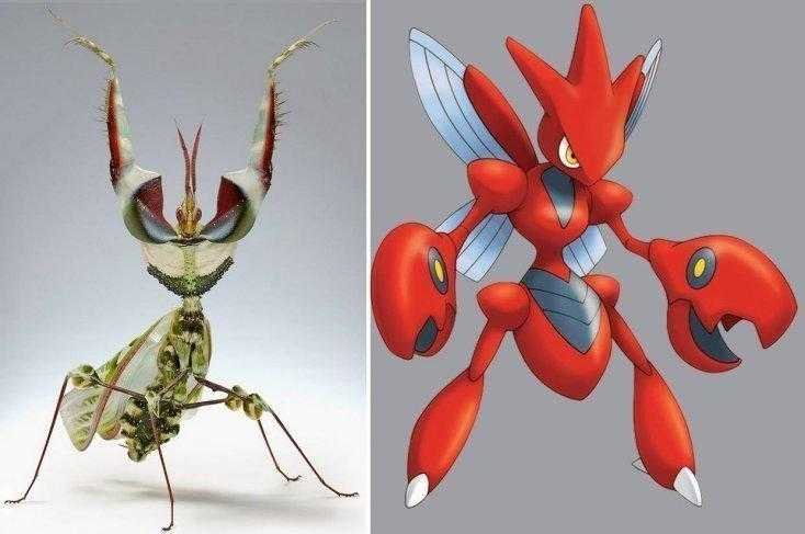 16 pokemons que existem na vida real pokemon1